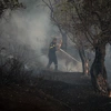 Φωτιά στο Ρέθυμνο