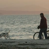 Κορωνησία