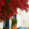 Κουφονήσια