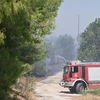 Φωτογραφία αρχείου