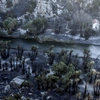 Οι εικόνες μετά τη καταστροφική πυρκαγιά