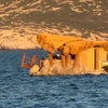Πλωτή Καντίνα
