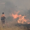 Βοιωτία 