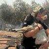 hellenicpolice_official
