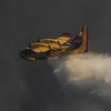 Canadair επιχειρεί σε φωτιά