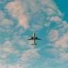 flight