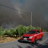 Φωτιά στη Βοιωτία