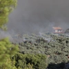 Εικόνες από τη φωτιά στη Βοιωτία