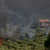 Φωτιά στη Βοιωτία