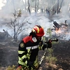 Φωτιά στη Δυτική Αττική 