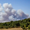 Φωτιά Χαλκιδική