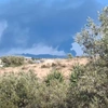 φωτια σαλαμινα