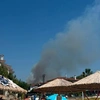 φωτια χαλκιδικη