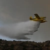 Εναέριο μέσο επιχειρεί σε φωτιά
