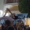 γιαγια κρητη