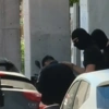 Κυψέλη