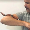 Μιχάλης Λεβεντογιάννης