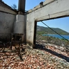 porto-germeno