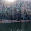 Η παραλία Πρέβελη στο Ρέθυμνο μετά την φωτιά
