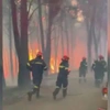 Μάχη των πυροσβεστών