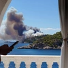 φωτια τωρα σαλαμινα