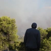 Φωτιά στη Βοιωτία