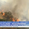 Η φωτιά στις Αφίδνες 