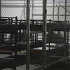 alligator_alcatraz
