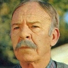 dianellos
