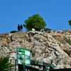 Εντοπίστηκαν οστά σε σακούλα στην Κυψέλη