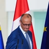 Φρίντριχ Μερτς