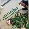 Ναρκωτικά-τριαντάφυλλα