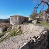 Πέστανη