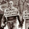 teddy boys