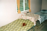 egklima vatani katerinis