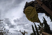 Άστατος ο καιρός