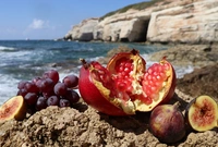 Τα ελληνικά superfood για μια ισορροπημένη διατροφή