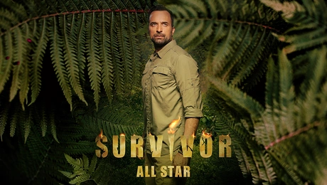 Survivor All Star