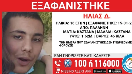 pallini - eksafanisi ilia