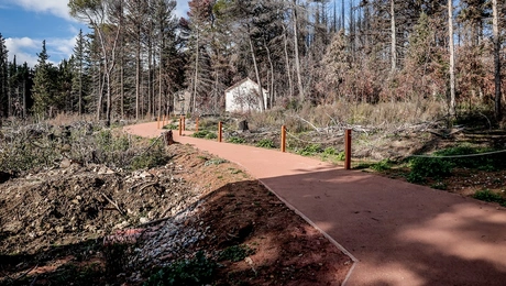 tatoi - proetoimasies gia konstantino