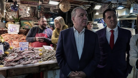 georgiadis-papathanasis