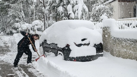 kakokairia - mparmpara