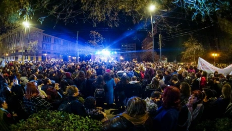 synaylia allileggyis