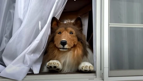 toco - anthropos skyli