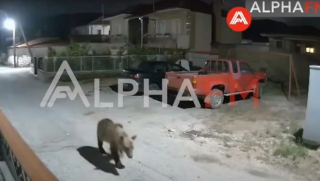 arkoyda stin kastoria