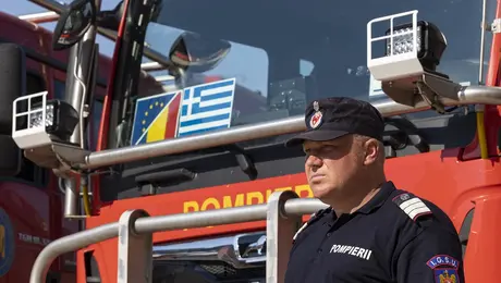 roymanoi pyrosbestes