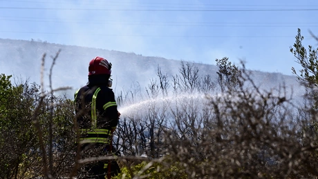 Πυρκαγιά στη Λαυρεωτική