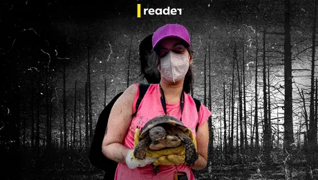 Διασώστης φροντίζει μια χελώνα.