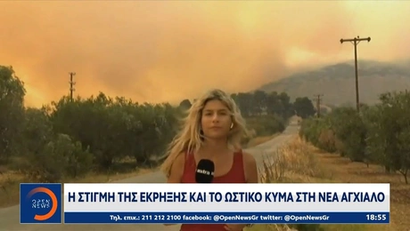 dimosiografos - nea agxialos