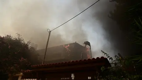 fotia - neos koybaras - spitia